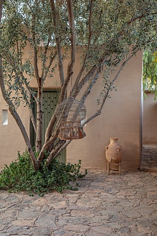TAROUDANT_MOROCCO_DESIGNERS_ARNAUD_MAURIERES_AND_ERIC_OSSART_COURTYARD_OLIVE_TREE_WATER_CONTAINER_BI