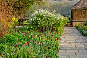 GRAVETYE MANOR SUSSEX: SPRING, APRIL, ENGLISH, COUNTRY, HOUSE, GARDEN, TULIPS IN BORDER BESIDE STONE PATH