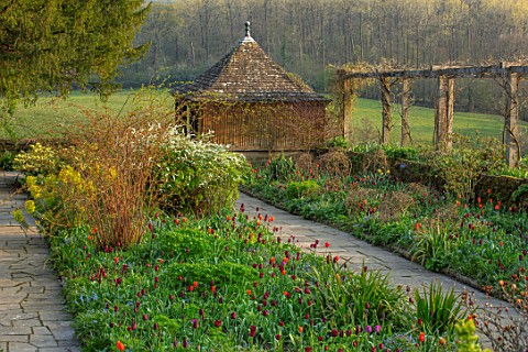 GRAVETYE_MANOR_SUSSEX_SPRING_APRIL_ENGLISH_COUNTRY_HOUSE_GARDEN_TULIPS_IN_BORDER_BESIDE_STONE_PATH_P