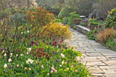 GRAVETYE MANOR SUSSEX: SPRING, APRIL, COUNTRY, GARDEN, DAFFODILS AND TULIPS IN THE BORDERS BESIDE STONE PATH