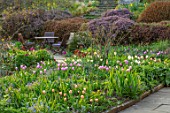 GRAVETYE MANOR SUSSEX: SPRING, APRIL, COUNTRY, GARDEN, DAFFODILS AND TULIPS IN THE BORDERS BESIDE STONE PATH, TABLE AND CHAIRS