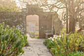 GRAVETYE MANOR SUSSEX: SPRING, APRIL, COUNTRY, GARDEN, PATH, WALL, ARCHWAY, EUPHORBIA, NARCISSI, MORNING, FOG, MIST, MISTY