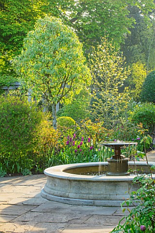 MORTON_HALL_WORCESTERSHIRE_TULIPS_IN_THE_BORDER_IN_SOUTH_GARDEN_FOUNTAIN_BEHIND_WATER_BULBS_SPRING_A