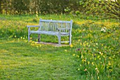 MORTON HALL, WORCESTERSHIRE: THE MEADOW AT SUNRISE. PATH, LAWN, WOODEN BENCH, YELLOW FLOWEWRS OF COWSLIPS, SPRING, MEADOWS, APRIL