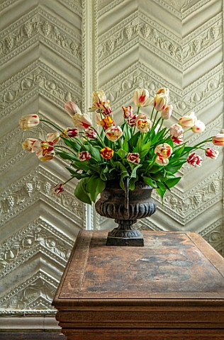 THE_LAND_GARDENERS_WARDINGTON_MANOR_OXFORDSHIRE_TULIPS_ARRANGED_IN_METAL_CONTAINER_ON_WOODEN_TABLE_S
