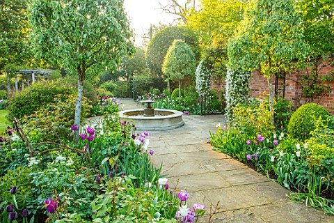 MORTON_HALL_WORCESTERSHIRE_TULIPS_IN_THE_SOUTH_GARDEN_PATHS_FOUNTAIN_WATER_FEATURE_SPRING_APRIL
