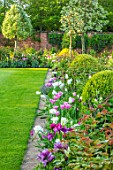 MORTON HALL, WORCESTERSHIRE: TULIPS IN THE SOUTH GARDEN. BORDERS, APRIL, SPPRING, BORDERS, LAWN