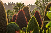 RADICEPURA GARDEN FESTIVAL, SICILY, ITALY: CLIPPED TOPIARY SHAPES WITH ETNA IN THE BACKGROUND. SUNRISE