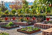 RADICEPURA GARDEN FESTIVAL, SICILY, ITALY: PROLIFILO INCONTRA CANDIDO GARDEN DESIGNED BY MARCO VOMIERO, BRICK SEATING, VEGETABLE BEDS, ORANGE TREES IN CONTAINERS ON WALL