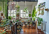 JAMIES JUNGLE, LONDON HOUSE OF JAMIE SONG: APARTMENT FILLED WITH HOUSEPLANTS. INDOORS, GREEN INTERIORS, FOLIAGE, TROPICAL