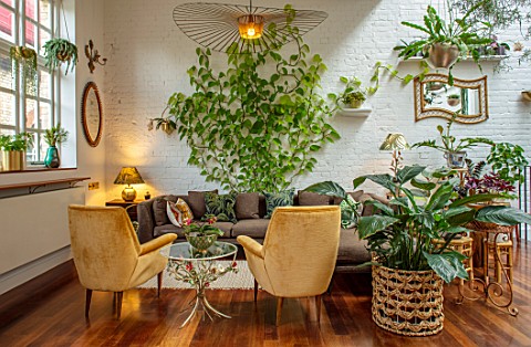 JAMIES_JUNGLE_LONDON_HOUSE_OF_JAMIE_SONG_APARTMENT_FILLED_WITH_HOUSEPLANTS_INDOORS_GREEN_INTERIORS_F