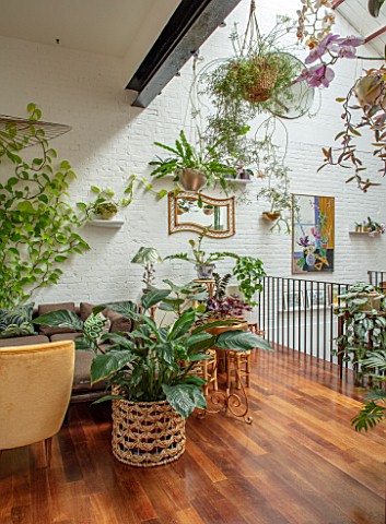 JAMIES_JUNGLE_LONDON_HOUSE_OF_JAMIE_SONG_APARTMENT_FILLED_WITH_HOUSEPLANTS_INDOORS_GREEN_INTERIORS_F