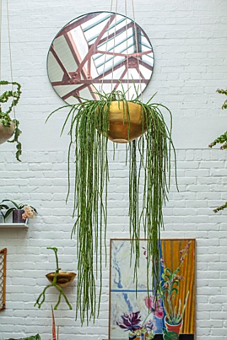 JAMIES_JUNGLE_LONDON_HOUSE_OF_JAMIE_SONG_HOUSEPLANTS_INDOORS_GREEN_INTERIORS_HANGING_GOLD_CONTAINER_