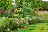 ROOKERY FARM, SURREY: LAWN, CONTAINERS, URNS, MEADOW, ROSES, GARDENS, ENGLISH, COUNTRY, SUMMER, ROSA BOSCOBEL, AUSCOUSIN