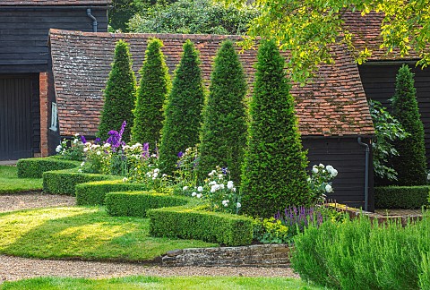 ROOKERY_FARM_SURREY_GRASS_BOX_HEDGES_HEDGING_COURTYARD_GARDEN_ROW_OF_TOPIARY_SHAPED_YEWS_DELPHINIUM_