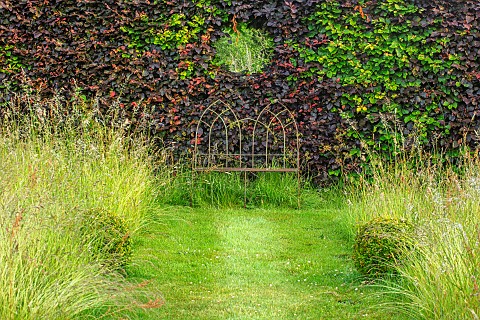 ROOKERY_FARM_SURREY_GRASS_PATH_MEADOW_METAL_SEAT_BENCH_AND_HOLE_IN_COPPER_BEECH_HEDGE_SUMMER_BOX_BAL