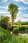 ROOKERY FARM, SURREY: POND, POOL, WATER, DUCK HOUSE, ISLAND, SUMMER, ENGLISH, COUNTRY, GARDENS