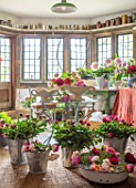 THE LAND GARDENERS, WARDINGTON MANOR, OXFORDSHIRE: FLOWERS IN THE FLOWER ROOM. CUTTING, CONSTANCE SPRY VASES