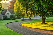 WINSON MANOR, GLOUCESTERSHIRE: SWEEPING CURVED DRIVE PAST LAWN, MORNING LIGHT, DAWN, ENGLISH, COUNTRY, GARDEN