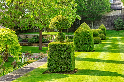 WINSON_MANOR_GLOUCESTERSHIRE_LAWN_CLIPPED_TOPIARY_YEW_TAXUS_SUMMER_ENGLISH_COUNTRY_GARDENS_GRASS_TER