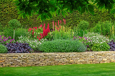 WINSON_MANOR_GLOUCESTERSHIRE_BORDERS_IN_RAISED_STONE_WALL_BED_LUPINS_HEUCHERAS_SUMMER_YEW_HEDGING_HE