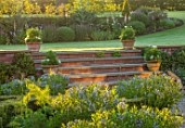 MANOR FARM, CHESHIRE: THE FORMAL HERB GARDEN, STEPS, TERRACOTTA CONTAINERS, LAWN, AMSONIA SALICIFOLIA, ENGLISH, COUNTRY, GARDEN