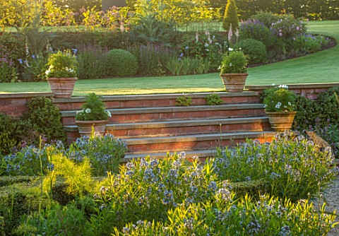MANOR_FARM_CHESHIRE_THE_FORMAL_HERB_GARDEN_STEPS_TERRACOTTA_CONTAINERS_LAWN_AMSONIA_SALICIFOLIA_ENGL