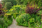 CLAUS DALBY GARDEN, DENMARK: PATHS, PEONIES, ROSES, HEDGES, HEDGING, WHITE ROSES, BORDERS, SUMMER, GARDEN, FOLIAGE