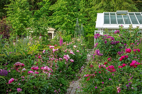 CLAUS_DALBY_GARDEN_DENMARK_SUMMER_ROSES_PEONIES_BORDERS_GREENHOUSE_PATHS