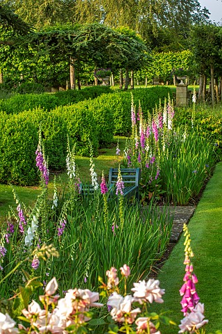 ROCKCLIFFE_GARDEN_GLOUCESTERSHIRE_BORDER_OF_FOXGLOVES_BLUE_WOODEN_BENCH_SEATS_LAWN_ENGLISH_COUNTRY_G