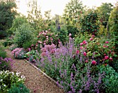 NEPETA  ALLIUMS  ROSES AND PINKS ALONG THE GRAVEL PATH AT THE ANCHORAGE  KENT.