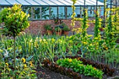 MORTON HALL, WORCESTERSHIRE: THE KITCHEN GARDEN IN JULY. LETTUCES, SWEET PEAS, ARCH, PERGOLA, VEGETABLES, POTAGER, ENGLISH, COUNTRY, GARDENS