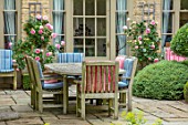 WINSON MANOR, GLOUCESTERSHIRE: PATIO, TERRACE, SUMMER, TABLE, CHAIRS, CUSHIONS, ENTERTAINING, DINING, ROSES