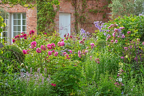 MORTON_HALL_WORCESTERSHIRE_BORDER_IN_SOUTH_GARDEN__ROSES__ROSA_MUNSTEAD_WOOD_MADAME_ISAAC_PEREIRE_LO