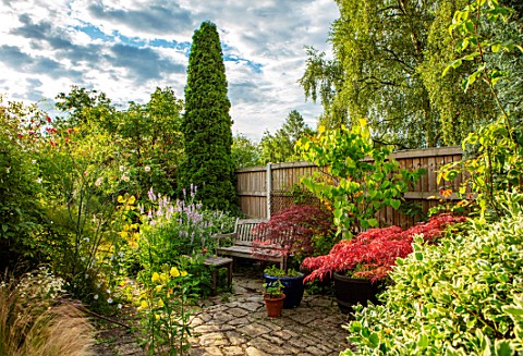 THATCH_COTTAGE_CROWLE_WORCESTERSHIRE_PATIO_FENCE_FENCING_JAPANESE_MAPLES_CERCIS_GALEGA_OFFICINALIS_E