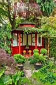 WATERDALE GARDEN, WOLVERHAMPTON, WEST MIDLANDS - ORIENTAL  JAPANESE GARDEN WITH TEA HOUSE IN RED. CLOUD PRUNED TOPIARY IN CONTAINERS, SUMMERHOUSE, OUTBUILDING, FOLLY