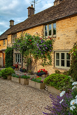 ADAMS_POOL_GLOUCESTERSHIRE_FRONT_OF_COTTAGE_WITH_STONE_TROUGHS_CLIMBING_ROSE_AND_CLEMATIS_PERLE_DAZU