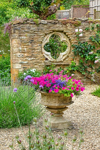 ADAMS_POOL_GLOUCESTERSHIRE_HEMEROCALLIS_GRAVEL_COURTYARD_STONE_CONTAINER_FOLLY_WALL_WITH_QUATREFOIL_