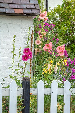 THATCH_COTTAGE_WORCESTERSHIRE_FRONT_WHITE_PICKET_FENCE_FENCING_BLACK_AND_WHITE_COTTAGE_HOLLYHOCKS_GA