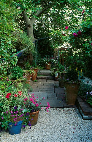 VIEW_OF_HERB_GARDEN_WITH_TERRACOTTA_CONTAINERS_AND_YORK_STONE_PATH_DESIGNER_PAULA_RAINEY_CROFTS