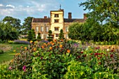 CANONS ASHBY, NORTHAMPTONSHIRE, THE NATIONAL TRUST: THE POTAGER, KITCHEN GARDEN, DAHLIA DAVID HOWARD, CLIPPED TOPIARY YEW, JULY