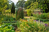 CANONS ASHBY, NORTHAMPTONSHIRE, THE NATIONAL TRUST - THE KITCHEN GARDEN, POTAGER WITH HELICHRYSUM KING SIZE, SWEET PEAS, PICKING, CUTTING, GARDENS