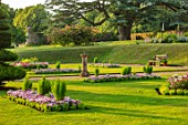 CANONS ASHBY, NORTHAMPTONSHIRE, THE NATIONAL TRUST - LAWNS, SUNDIAL, CEDAR OF LEBANON, BEDDING, BEDS, EVENING, JULY