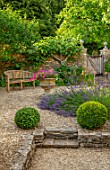 ADAMS POOL, GLOUCESTERSHIRE: COURTYARD, BOX BALLS, GRAVEL, LAVANDULA ANGUSTIFOLIA, WOODEN BENCH, TOPIARY, GARDEN, COTSWOLDS, STONE URN, CONTAINER