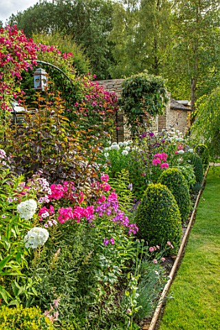 ADAMS_POOL_GLOUCESTERSHIRE_BORDER_BY_LAWN_BOX_TOPIARY_PHLOX_ARCHWAY_CLEMATIS_MADAME_JULIA_CORREVON