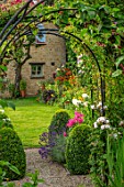 ADAMS POOL, GLOUCESTERSHIRE: BORDER BY LAWN, BOX TOPIARY, PHLOX, ARCHWAY, LAWN, BORDER, COTTAGE, GARDEN, COTSWOLDS