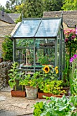ADAMS POOL, GLOUCESTERSHIRE: SMALL GREENHOUSE IN KITCHEN GARDEN, POTAGER, SUNFLOWERS IN CONTAINERS