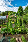 ADAMS POOL, GLOUCESTERSHIRE: ARCH, ARCHWAY, RAISED BEDS, KITCHEN GARDEN, POTAGER, SUNFLOWERS IN CONTAINERS, GREENHOUSE, COTTAGE, PATH, LAWN