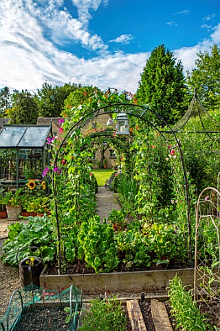 ADAMS_POOL_GLOUCESTERSHIRE_ARCH_ARCHWAY_RAISED_BEDS_KITCHEN_GARDEN_POTAGER_SUNFLOWERS_IN_CONTAINERS_