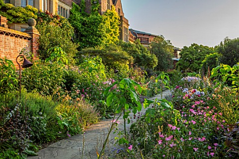 GLYNDEBOURNE_EAST_SUSSEX_DOUBLE_HERBACEOUS_BORDERS_PERSICARIA_ORIENTALIS_FRANCOA_SONCHIFOLIA_LAVETER